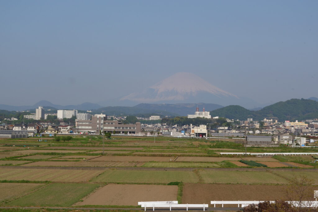 早朝サイクリング
