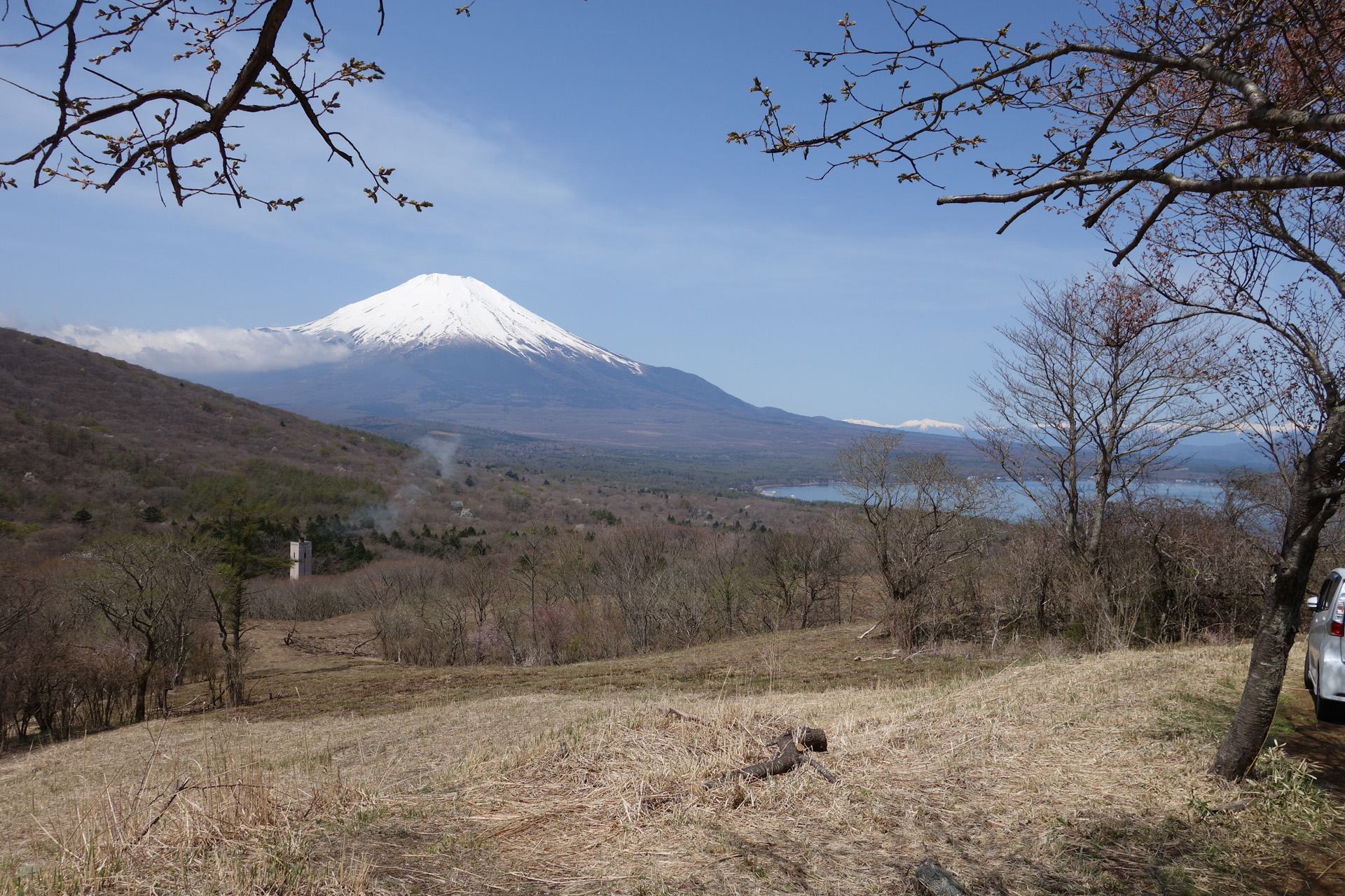 芝桜と富士