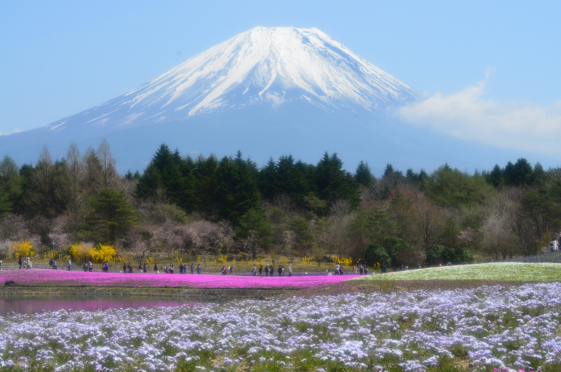 富士本栖湖リゾート