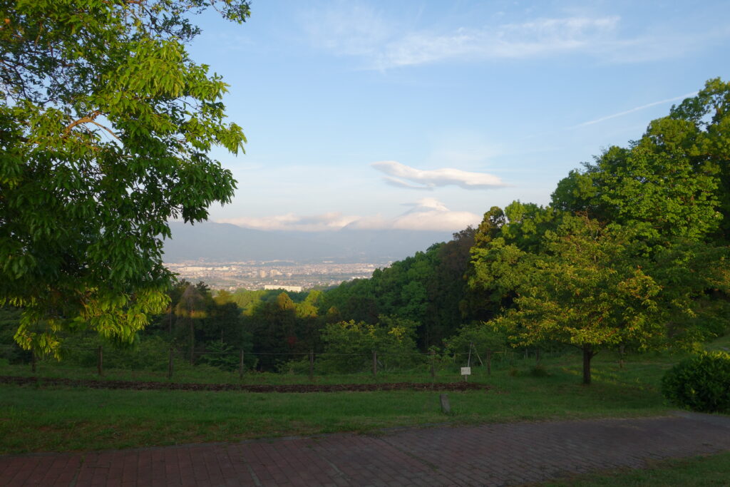 農村公園（大井町）