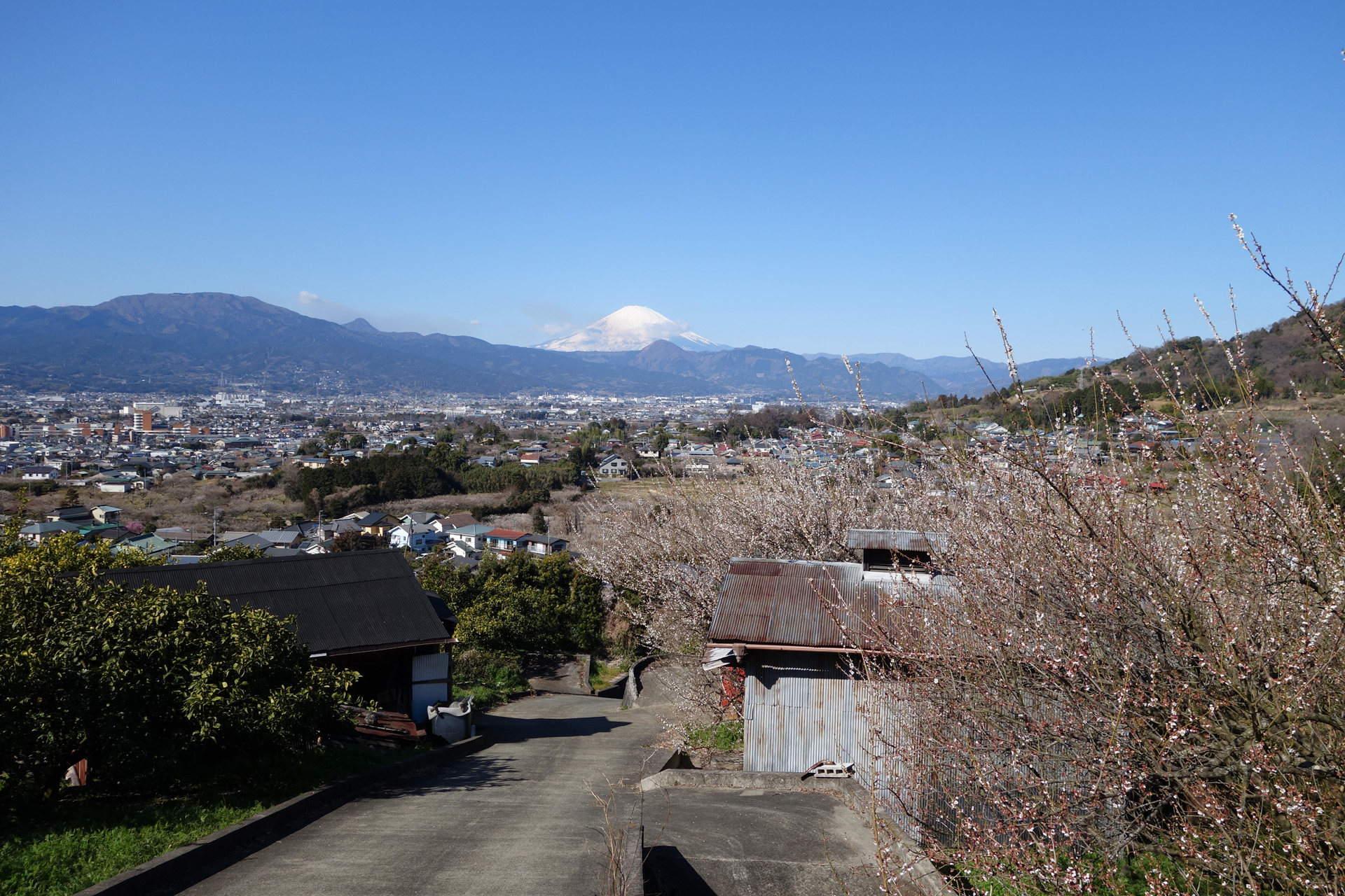 曽我神社付近
