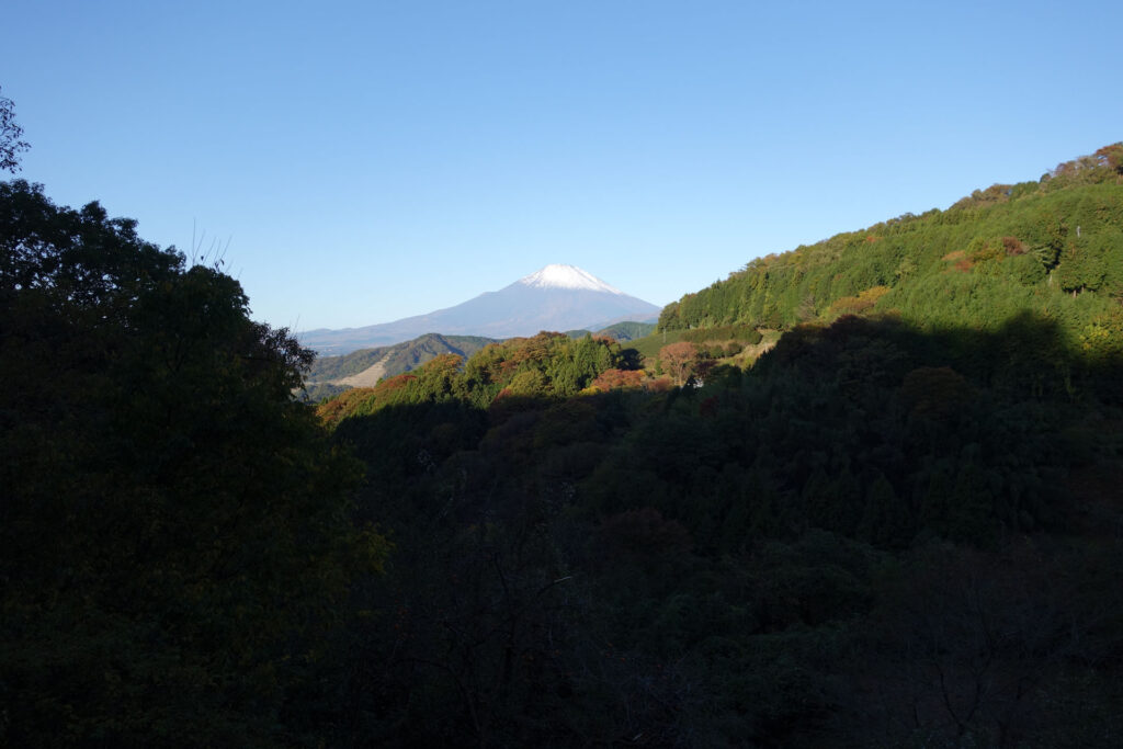 山北町谷峨付近