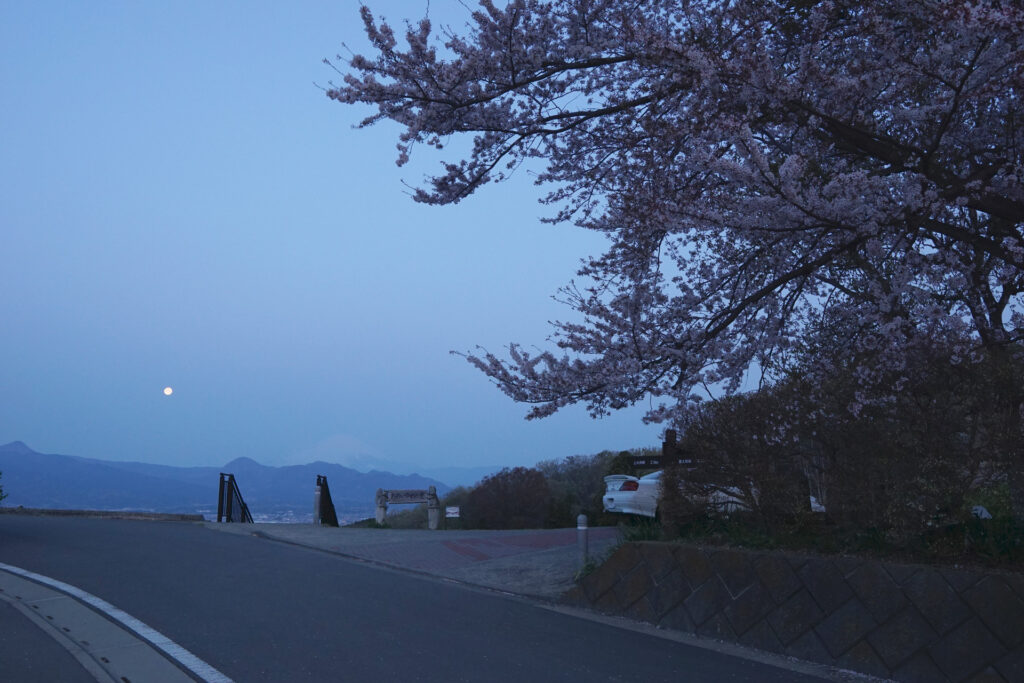 月とさくらと富士
