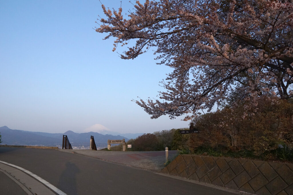 月とさくらと富士
