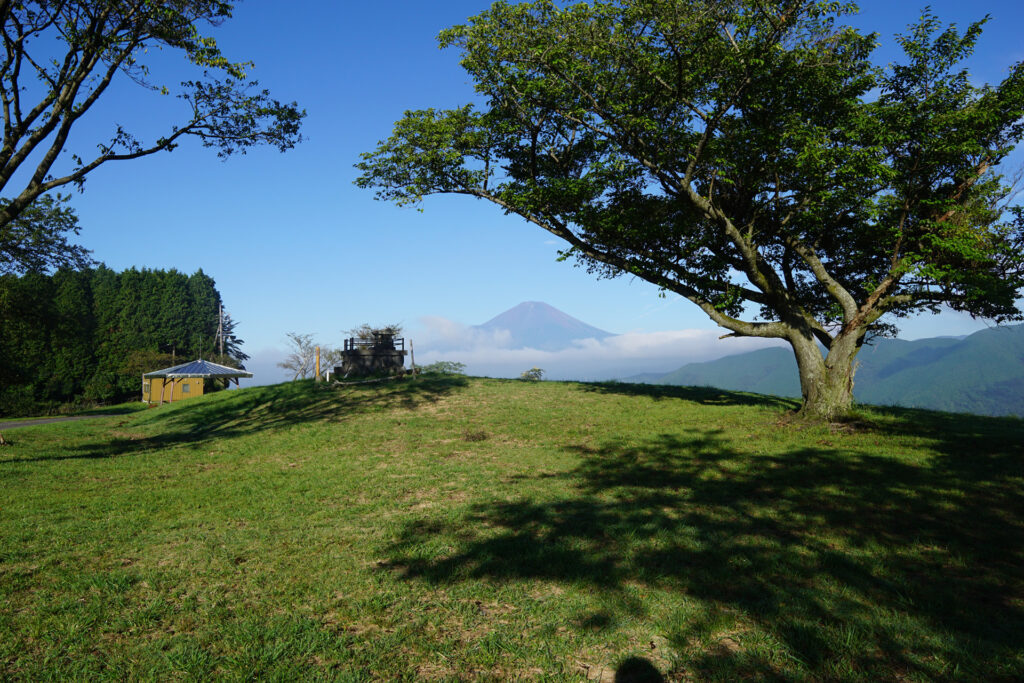 大野山