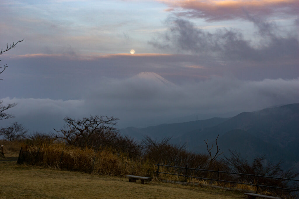 大野山山頂からのパール富士