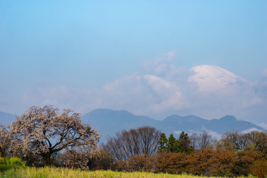 早朝サイクリング