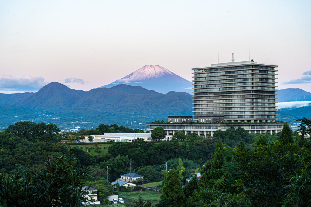 初冠雪