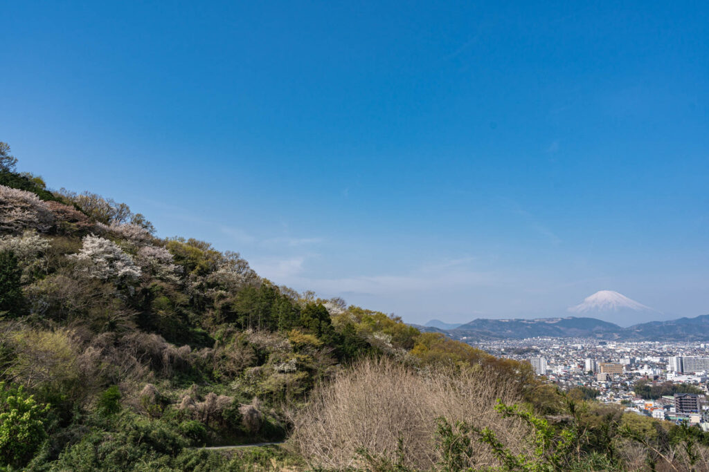弘法山