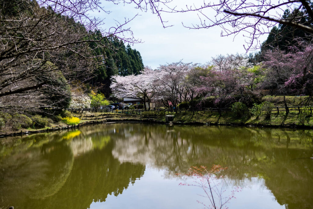 最明寺史跡公園