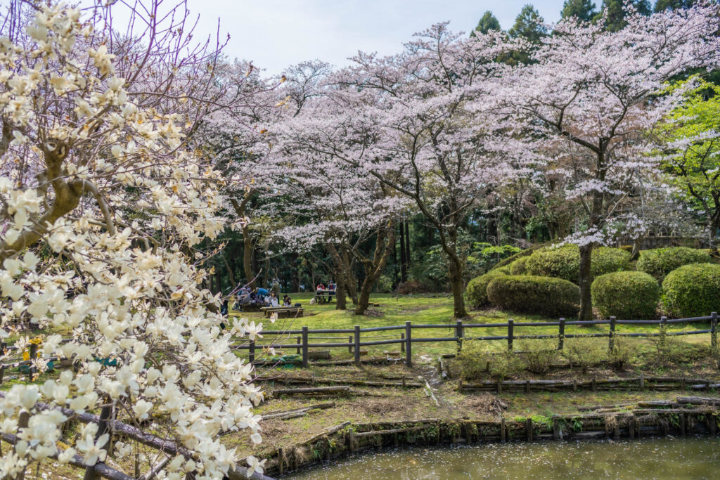 最明寺史跡公園