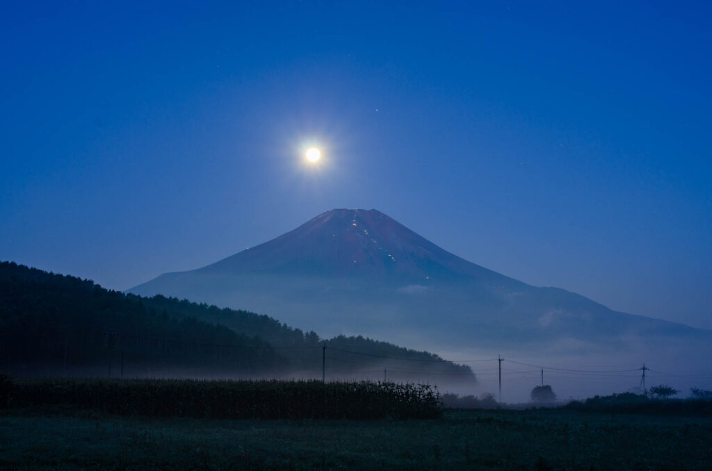21年7月のパールふじ