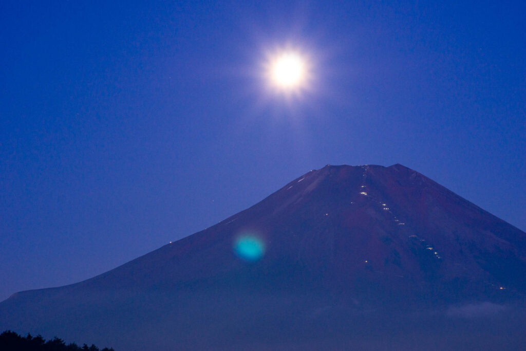 21年7月のパールふじ