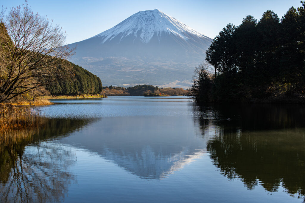 富士五湖プラスワンマラソン
