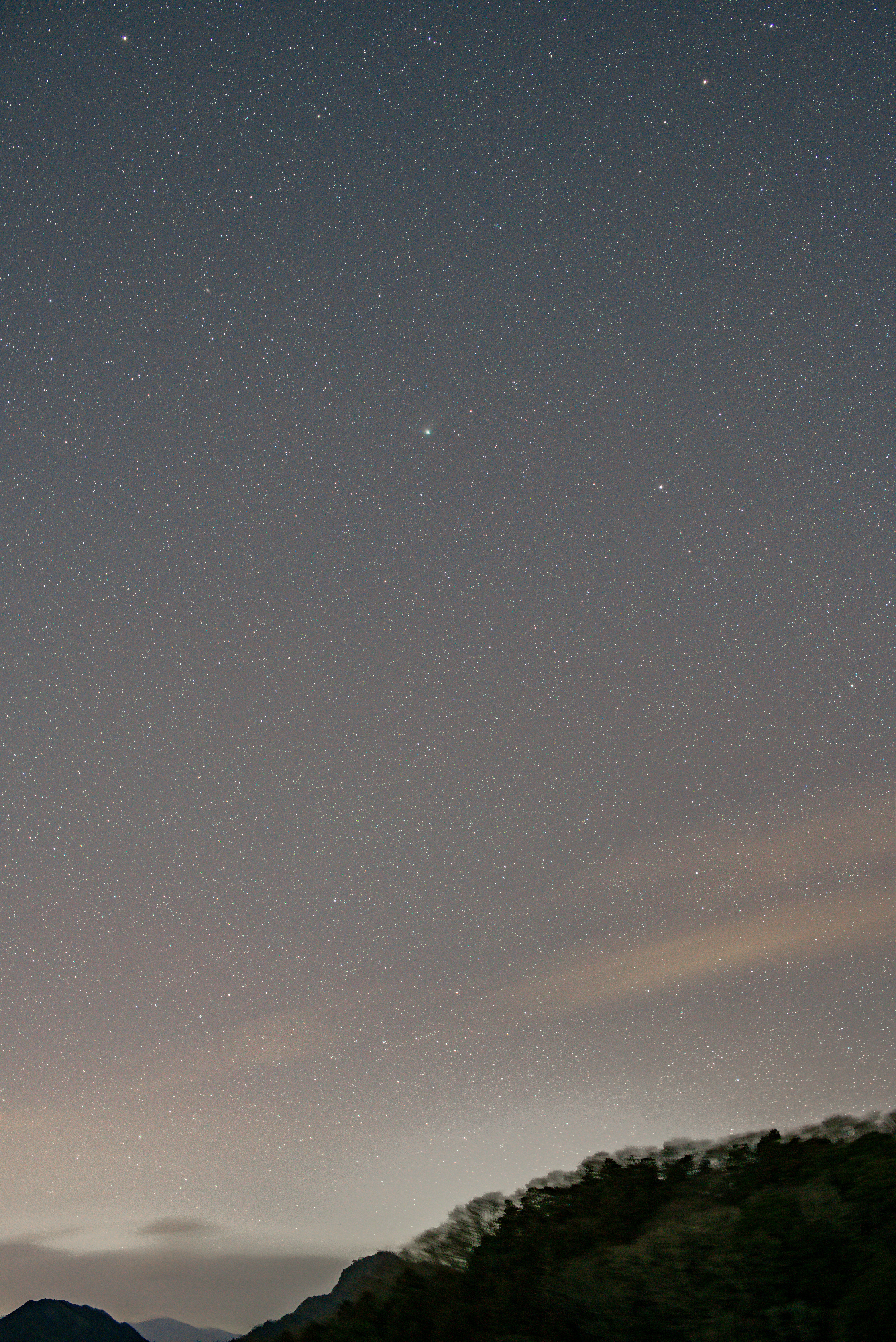 ZTF彗星(230131)