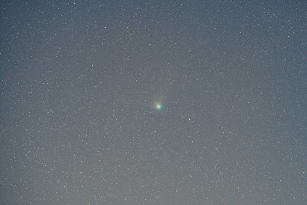 ZTF彗星（230201）