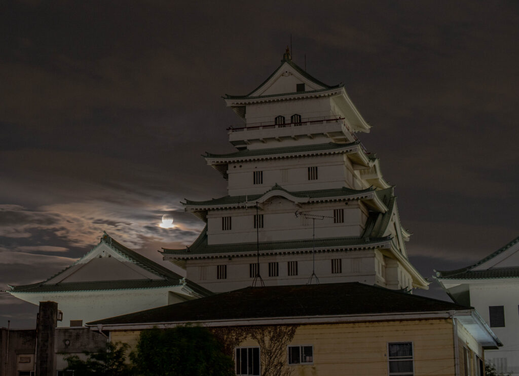 豊田城