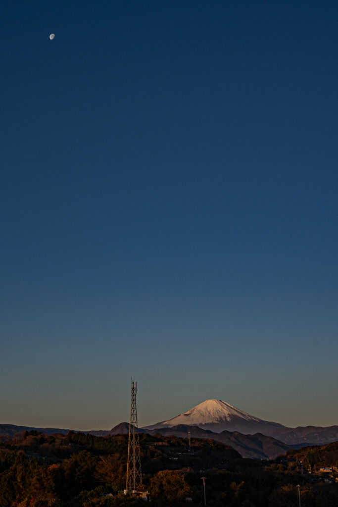 今年もよろしくお願いします