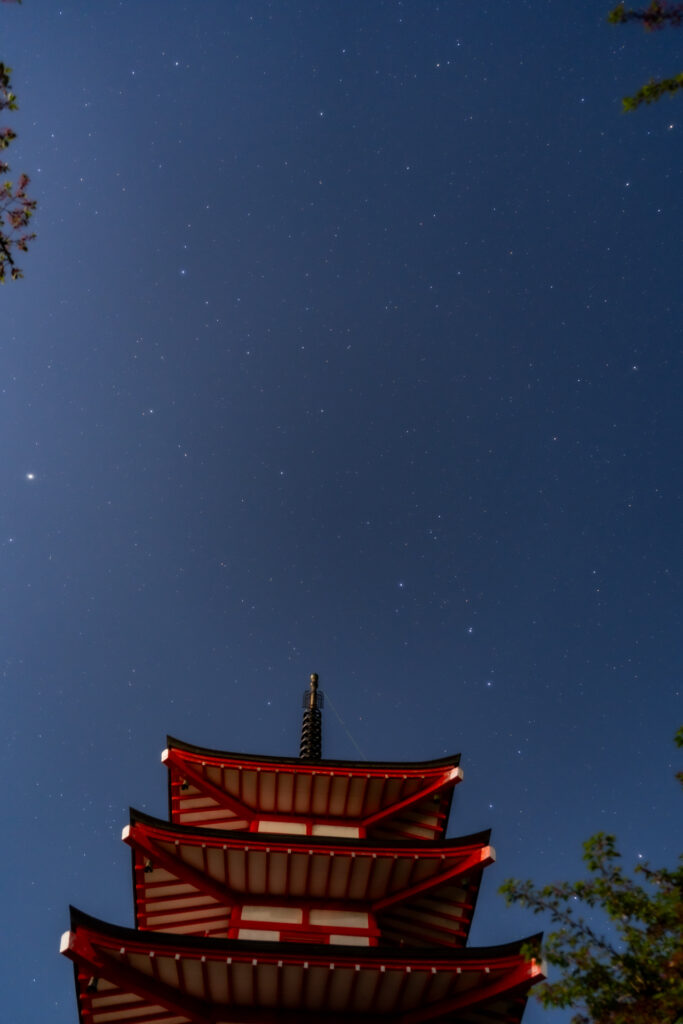 夜桜見物