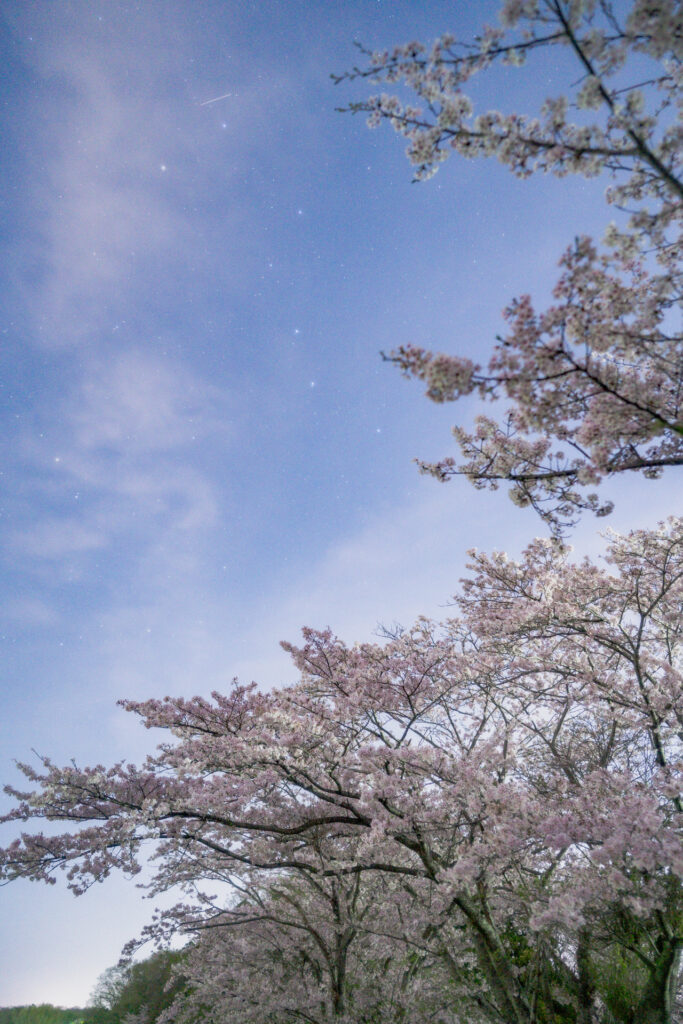 12P　ポンスブルックス彗星