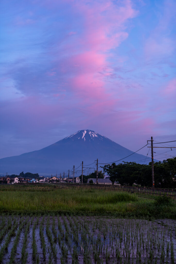 夏の天の川